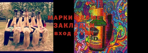 индика Сафоново