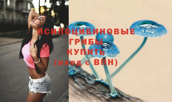 гашик Абдулино