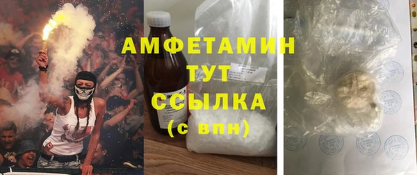 гидра Абаза