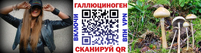 blacksprut ССЫЛКА где найти наркотики Карабаново Псилоцибиновые грибы Psilocybine cubensis